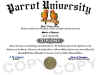 parrot diploma