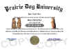 prairiedog diploma