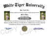 tiger diploma